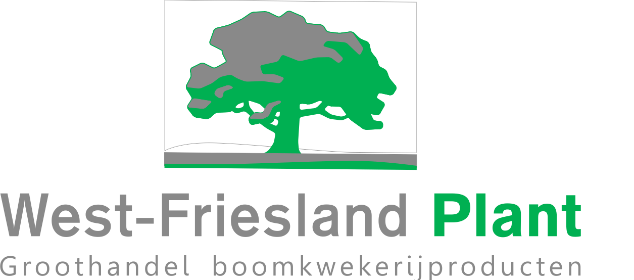 WFP logo