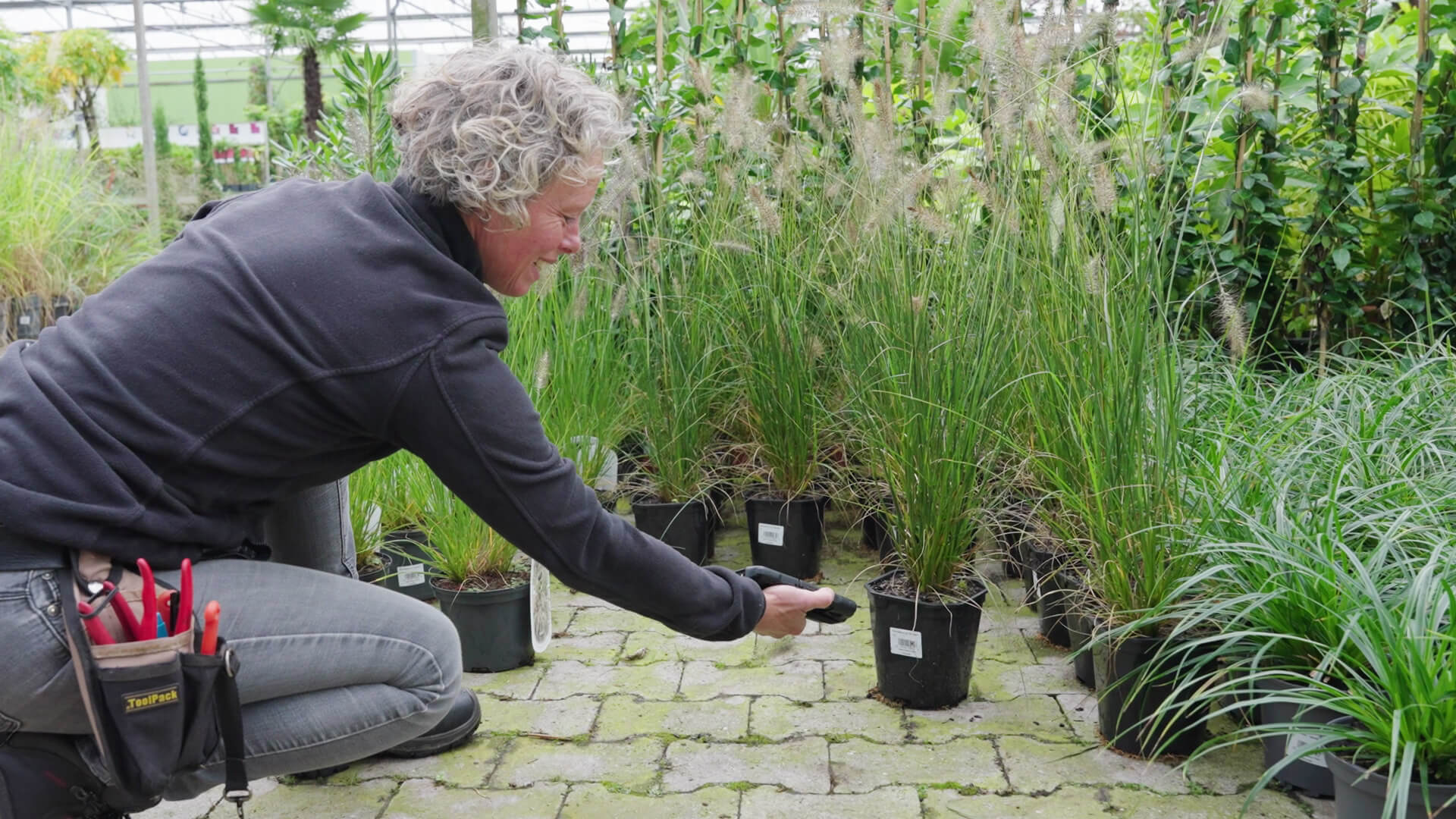 Wervingscampagne en website voor West-Friesland Plant